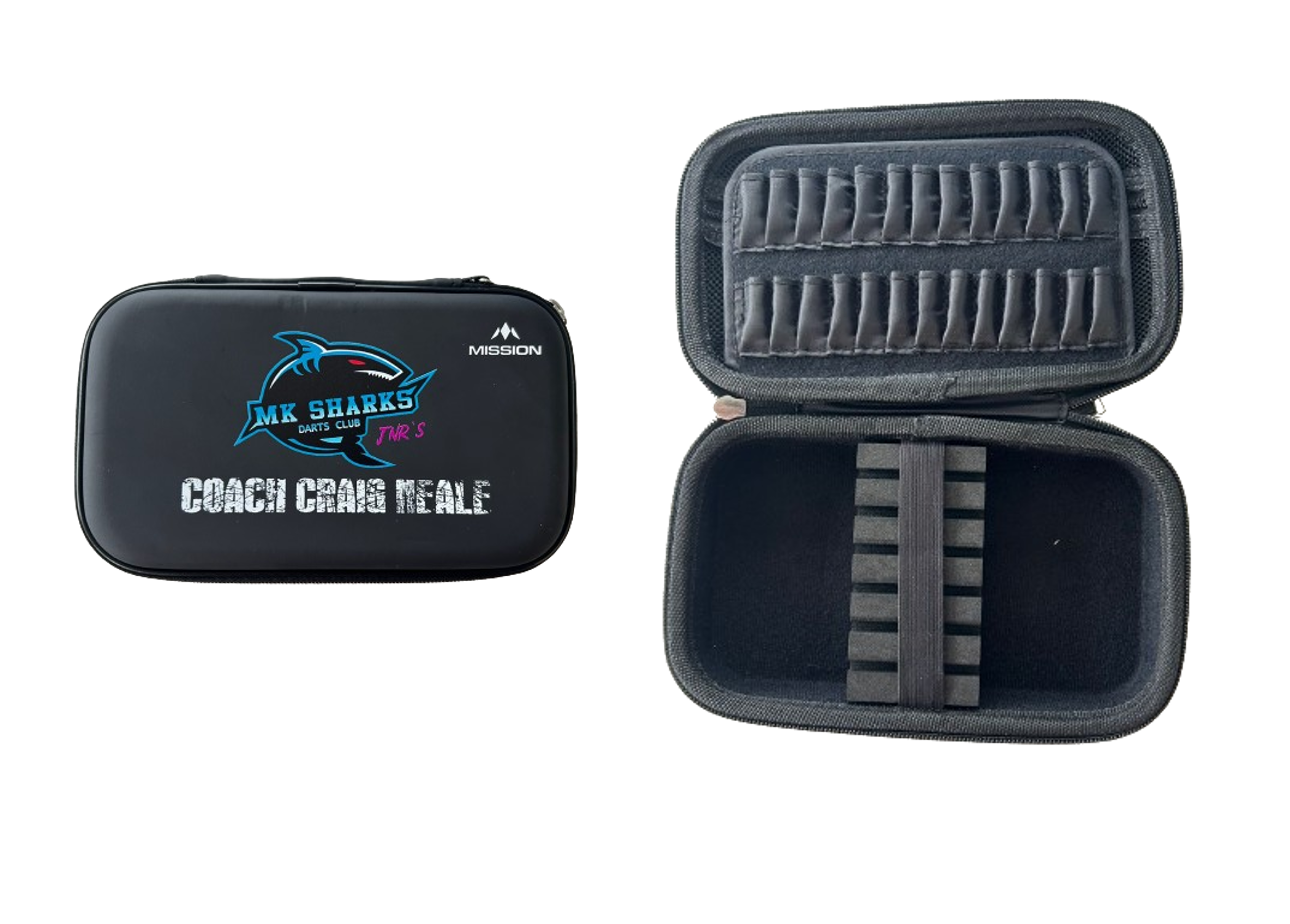 Darts Case